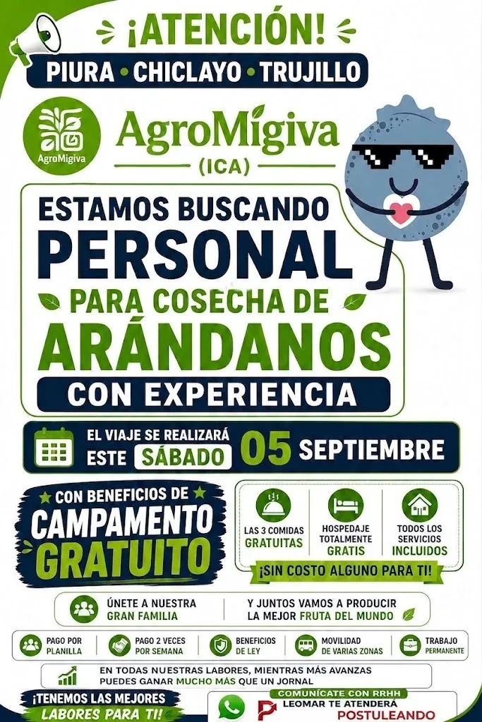 Aviso: SE NECESITA PERSONAL PARA COSECHA DE ARÁNDANOS — toca para verlo completo