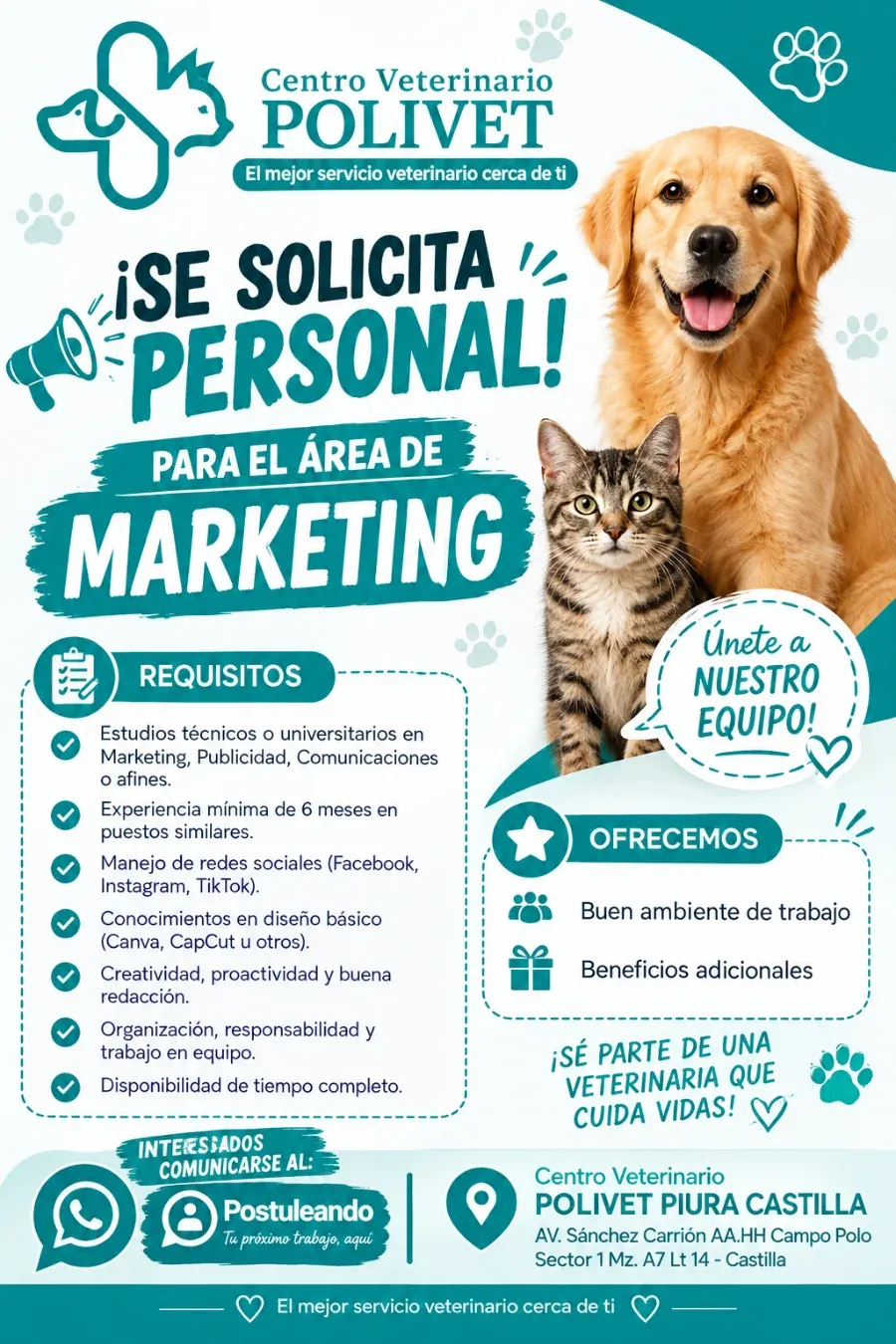 Aviso: PERSONAL DE MARKENTING — toca para verlo completo