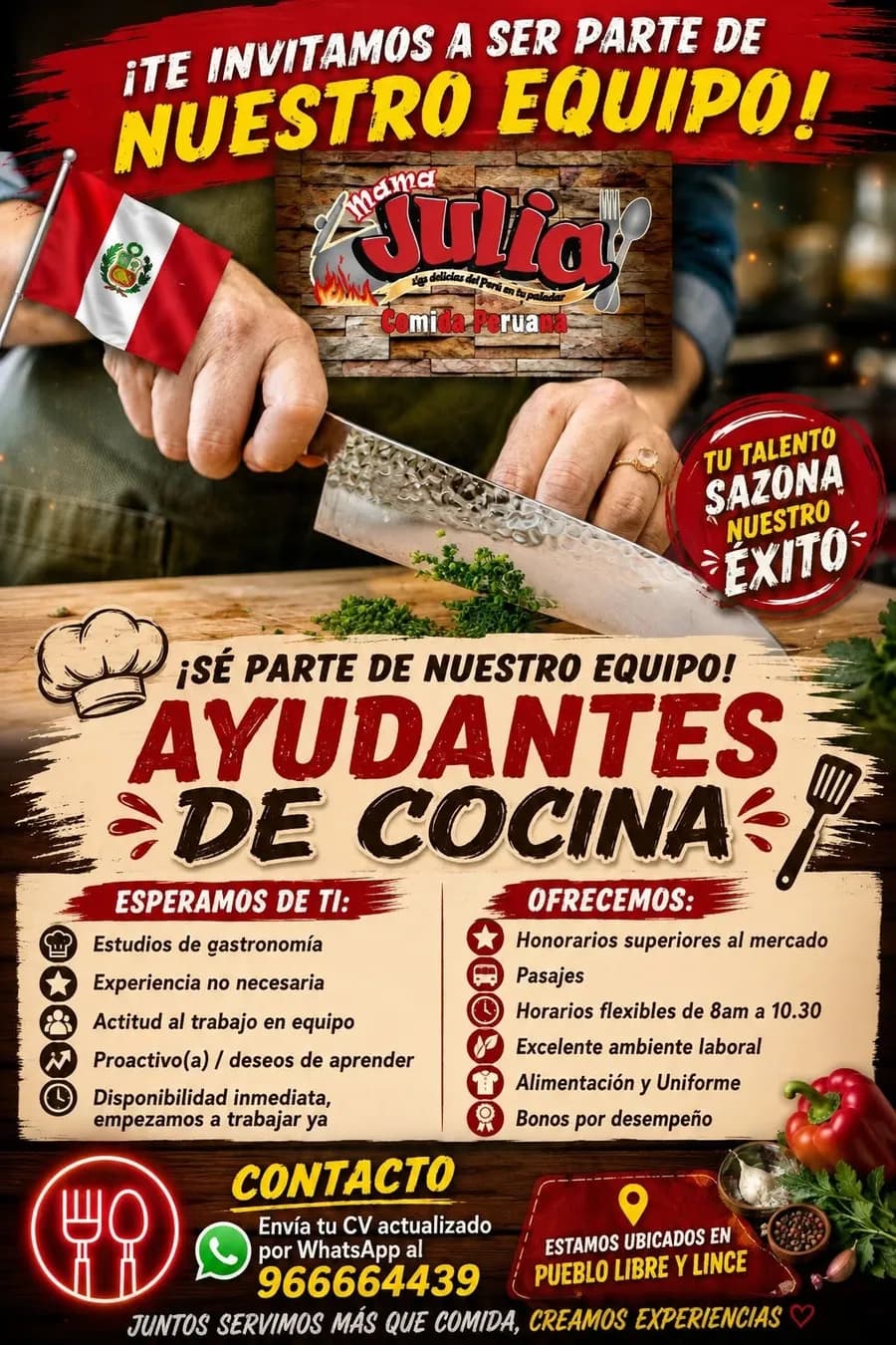 Aviso: AYUDANTE DE COCINA — toca para verlo completo